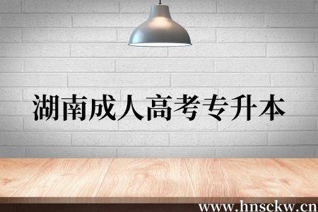 湖南成人高考专升本入学后全是网络授课吗?