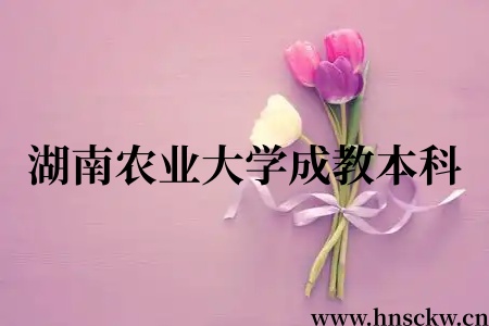 2026年湖南农业大学成教本科学位何时能申请？