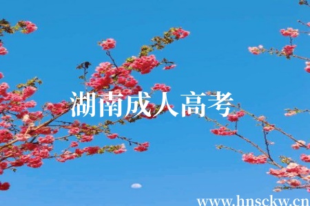 2026年湖南成人高考考试科目安排及考试时间