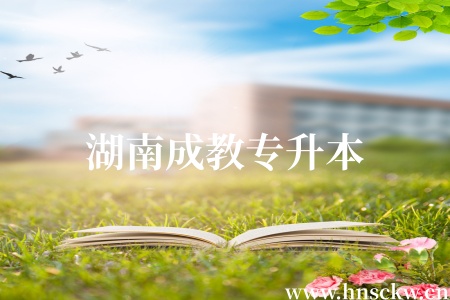 湖南成教专升本跟电大专升本一样吗？
